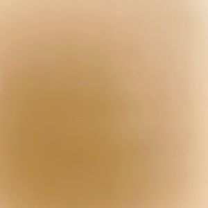 Meet your Posher, Veerinder